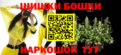 молекула духа Заводоуковск