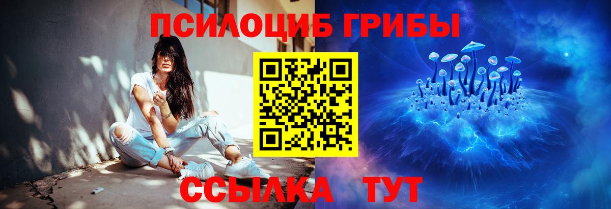 Псилоцибиновые грибы Psilocybe Минеральные Воды